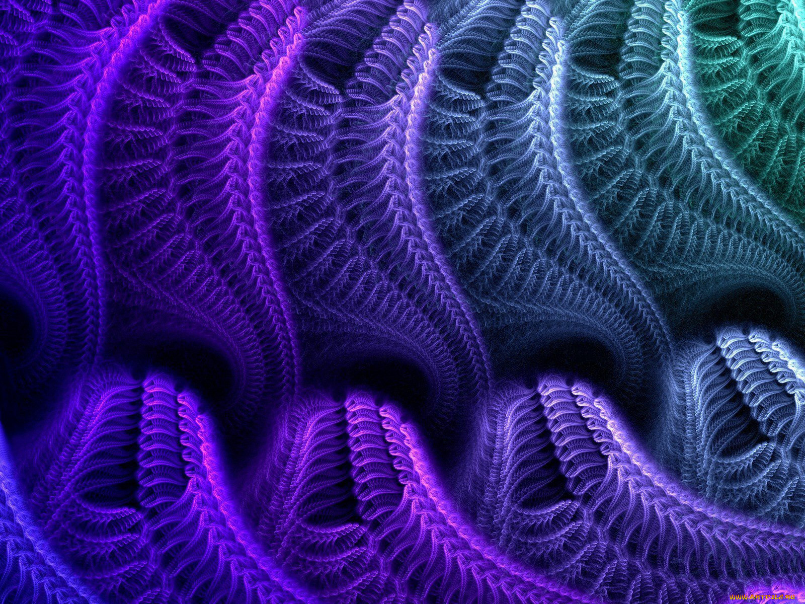 3, , fractal, , , , 